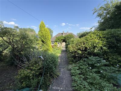 Picture 23